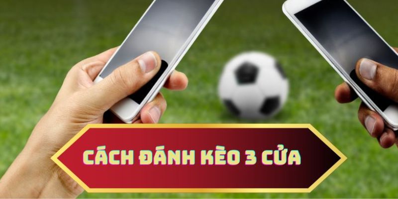 Các thắc mắc thường gặp về điều khoản sử dụng của hootershooky.com
